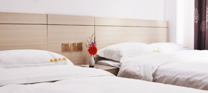 Hepu Xinsheng Hotel Hotels in Hepu County