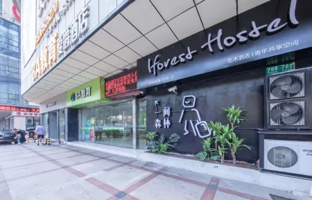 Iforest Hostel