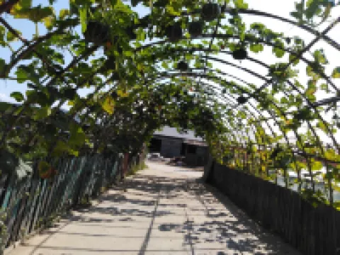laowunongjiayuan