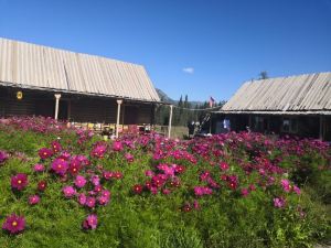 Kanas Lakeside Mountain Villa