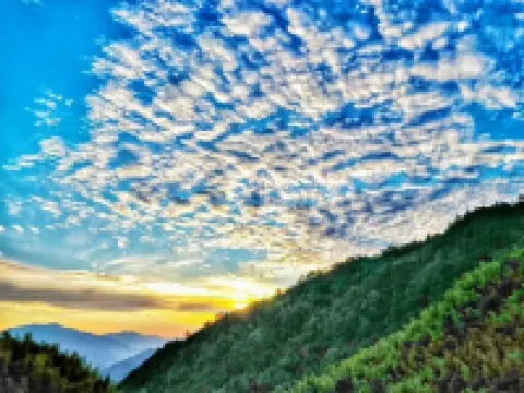 Anji Meizhu Farmhouse