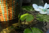 Shanshui Leren Light Luxury Boutique Hostel - 温泉