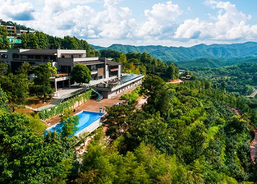 大余大龙山生态酒店