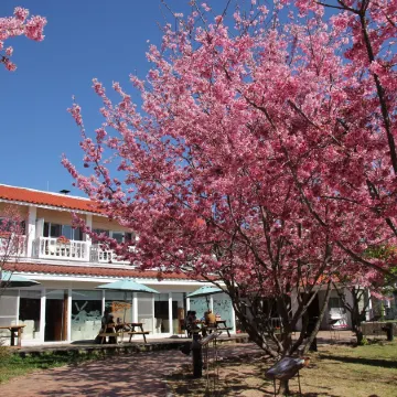 Qingjing Guest House Отели рядом с достопримечательностью «Ферма «Чунь-Янь»»