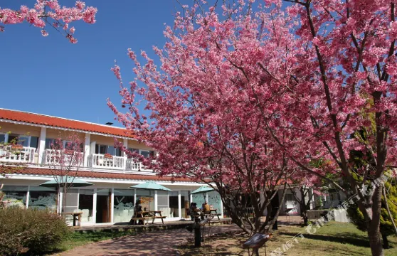 南投清境農場國民賓館