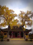 青洄書茶棧