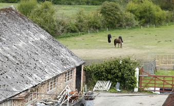 a barn with a grassy field and two horses grazing in the background , accompanied by a view from a balcony at Hillbrow Farm B&B