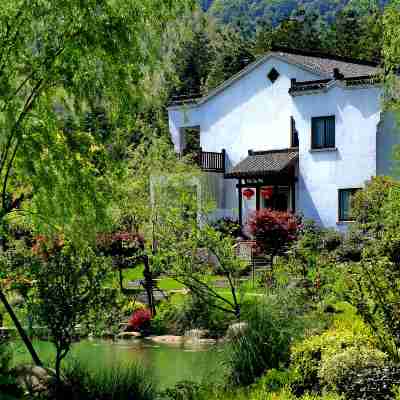 九華山五溪山色大酒店 Rooms