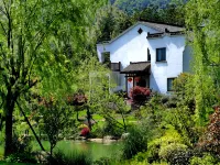 Jiuhuashan Wuxi Shanse Hotel فنادق في تشينغيانغ