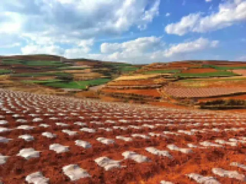 Red Land Red Four Seasons Farm