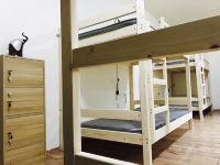 香格里拉月鸟青年旅舍 - 精致一室单床房