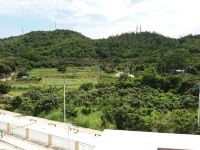 深圳田园民宿