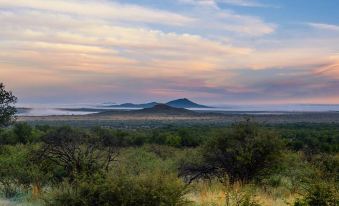 Lush Private Game Lodge