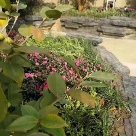 Luodian Anbang Garden Hotel