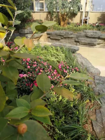 Luodian Anbang Garden Hotel Отели рядом с достопримечательностью «Moon Bay Health and Wellness Resort»