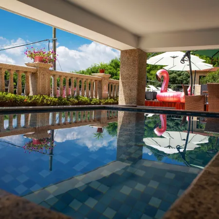 Swallow's Nest Swimming Pool Homestay
