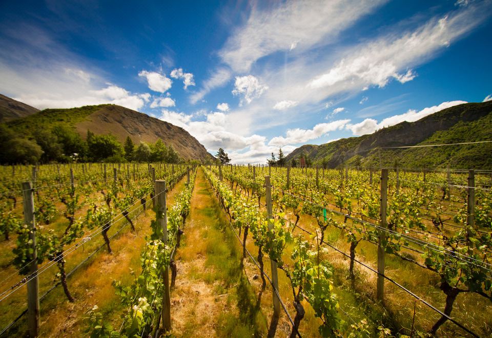Valley Lodge and Spa Over view