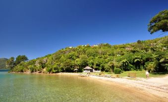 Punga Cove Resort