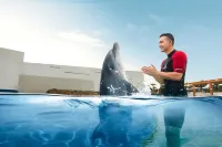 三亜アトランティスホテル - 水遊び場