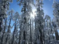 Hongya Hongyang Hotel (Wawu Mountain Scenic Area) Hotels in Hongya