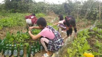 Yuanyang Green Hostel & Sunny Guesthouse