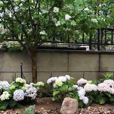 張家口採菊東籬度假別墅 Others