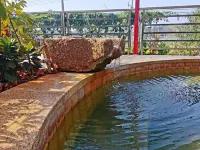 Shaoguan Tangxi Hot Spring - น้ำพุร้อน