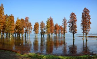 FLoral Hotel · Red Forest Yuyao hotel (Yuyao Siming Lake Scenic Area)