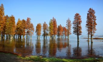 FLoral Hotel· Red Forest Yuyao (Yuyao Siming Lake Scenic Area)