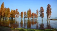 FLoral Hotel · Red Forest Yuyao hotel (Yuyao Siming Lake Scenic Area）