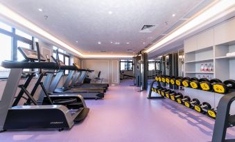 a well - equipped gym with various exercise equipment , including treadmills and weights , arranged in rows on the walls at Hengxing Mercure Hotel
