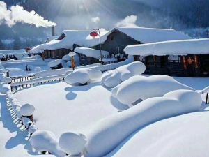 雪鄉靚雪家庭旅館