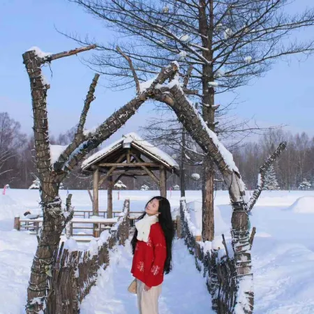 Snow Village Inn