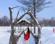 Snow Village Inn