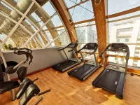 The Ritz-Carlton, Santiago - Fitnessstudio