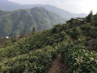 黄山东坡精品酒店 - 酒店附近