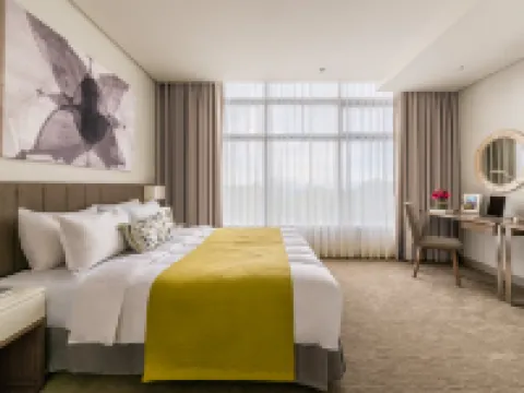 ซีทาดีนส์ มิลเลนเนียม ออร์ติกัส มะนิลา โรงแรมในปาซิก