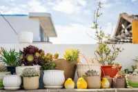 Huaniao Island Banshan Banhai Hostel Hotel a Huaniao Island