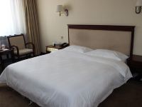 定西凤城印象酒店 - 大床房