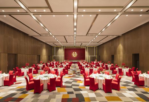 2. 래디슨 엑시비전..