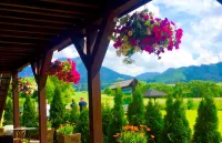 Hilson Jasna - Garden Resort - bar
