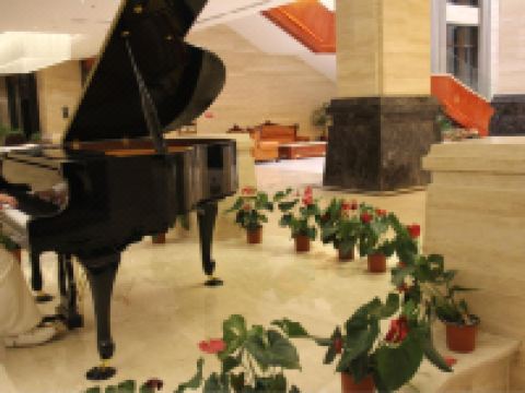 剑阁剑门关国际温泉大酒店 - 公共区域