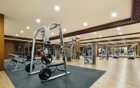 Wyndham Grand Plaza Royale Wenchang - Gym