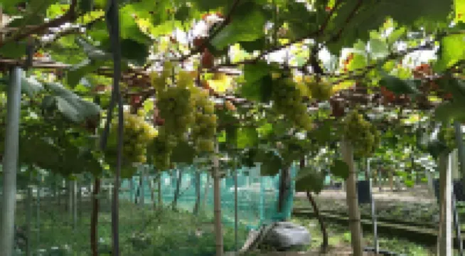 莫幹山雅軒客棧（後塢換乘中心店）