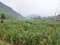 泾县御府山庄 - 酒店附近