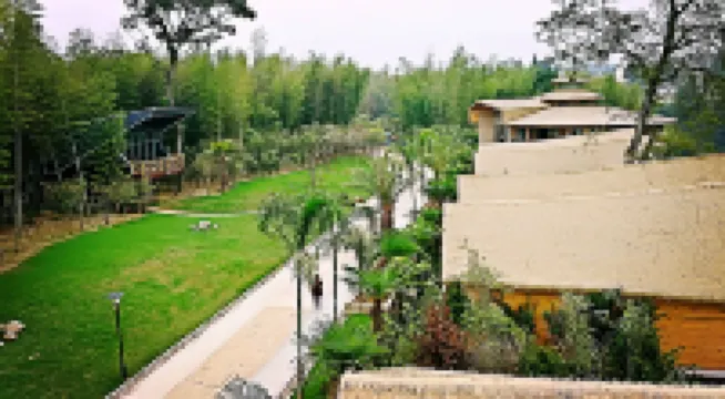 Royal Bay Resort