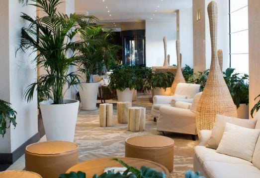 스타호텔 엑셀시오