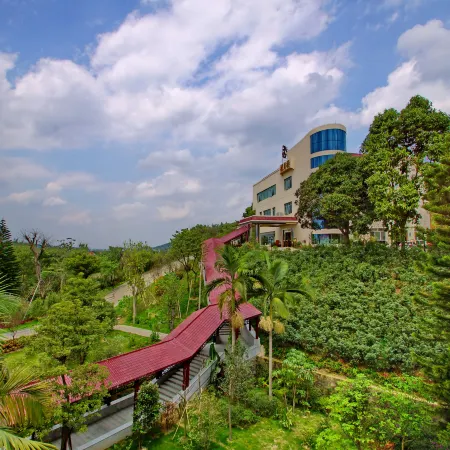 Yunfu Xinxing Longshan Hot Spring Hotel