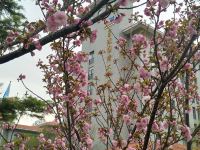 东营蓝海国际大饭店 - 花园