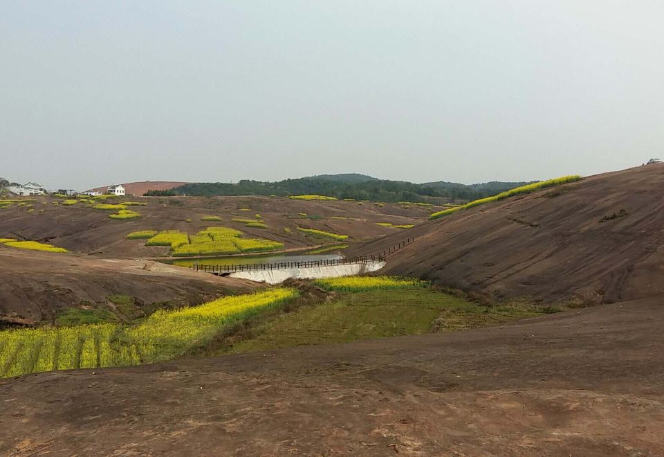 3. 칠데이스 프리미..